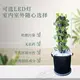 Hydroponic Tower System Food & Beverage Factory Wholesale - Oone 4