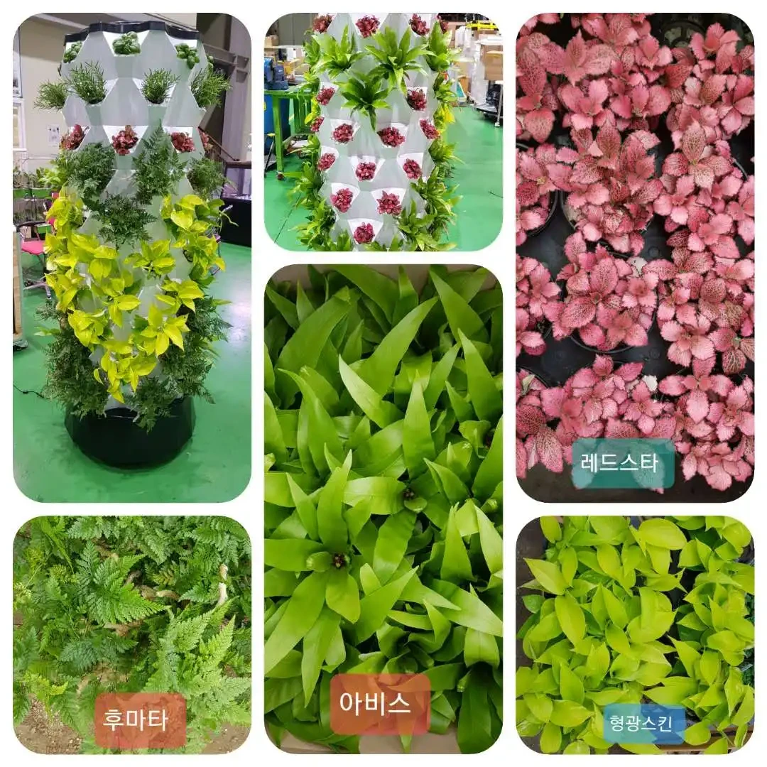 Vertical Hydroponics Tower Other - - Oone 6