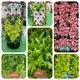 Indoor Hydroponic Garden Tower Provided - - Oone 6