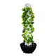 Indoor Hydroponic Garden Tower Provided - - Oone 3