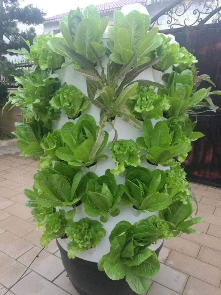 Vertical Growing Systems 48pcs - - Oone 6