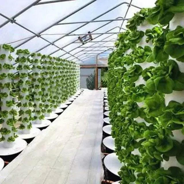 Commercial Vertical Hydroponic System Visa Wholesale - Oone 7
