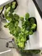 Aeroponic Tower Garden Grow Leaf Vegetables Wholesale - Oone 4
