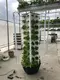 Aeroponic Tower Garden Grow Leaf Vegetables Wholesale - Oone 7