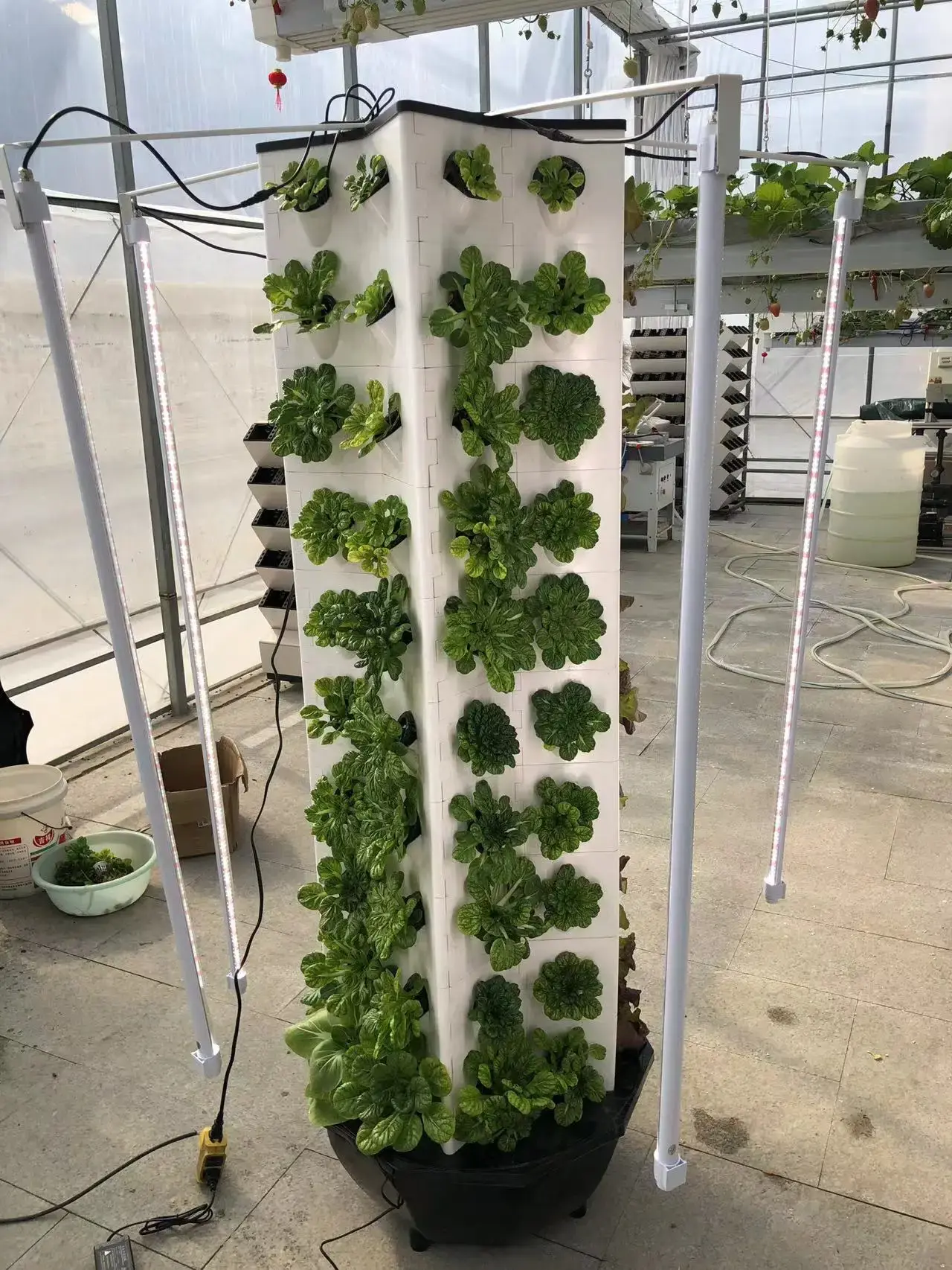 Aeroponic Tower Garden Grow Leaf Vegetables Wholesale - Oone 5