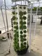 Aeroponic Tower Garden Grow Leaf Vegetables Wholesale - Oone 5
