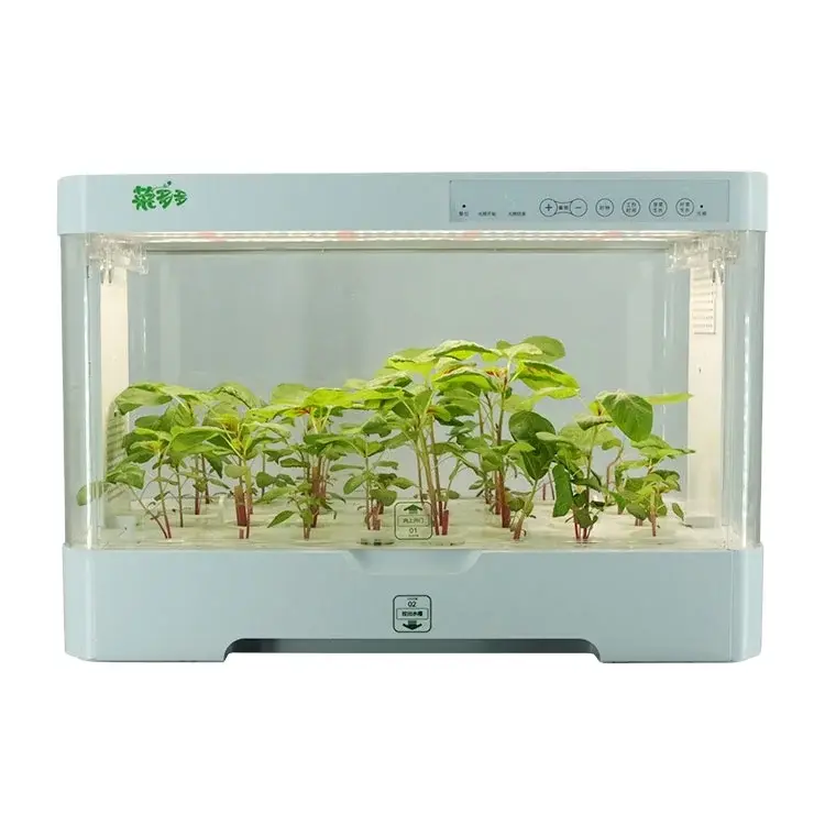 Smart Grow Hydroponics Visa Wholesale - Oone 2