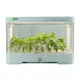 Smart Grow Hydroponics Visa Wholesale - Oone 2