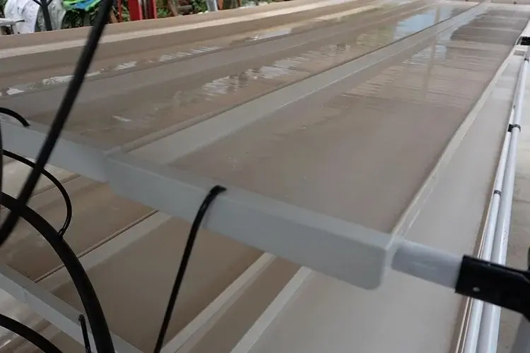 Smart Garden Hydroponics Hot Product 2019 Wholesale - Oone 4