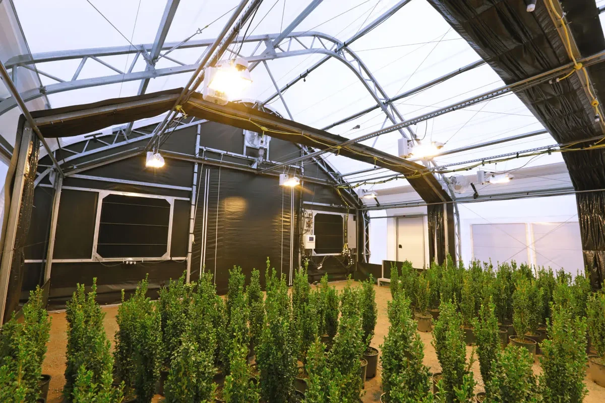 Black Out Greenhouse 100 - - Oone 6
