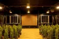 Multi Span Greenhouse for Sale Door and Insect Net - - Oone 7