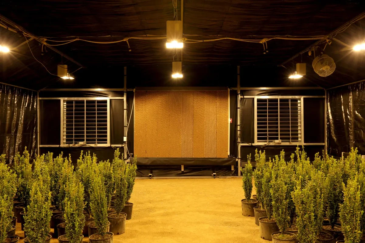 Black Out Greenhouse 100 - - Oone 3