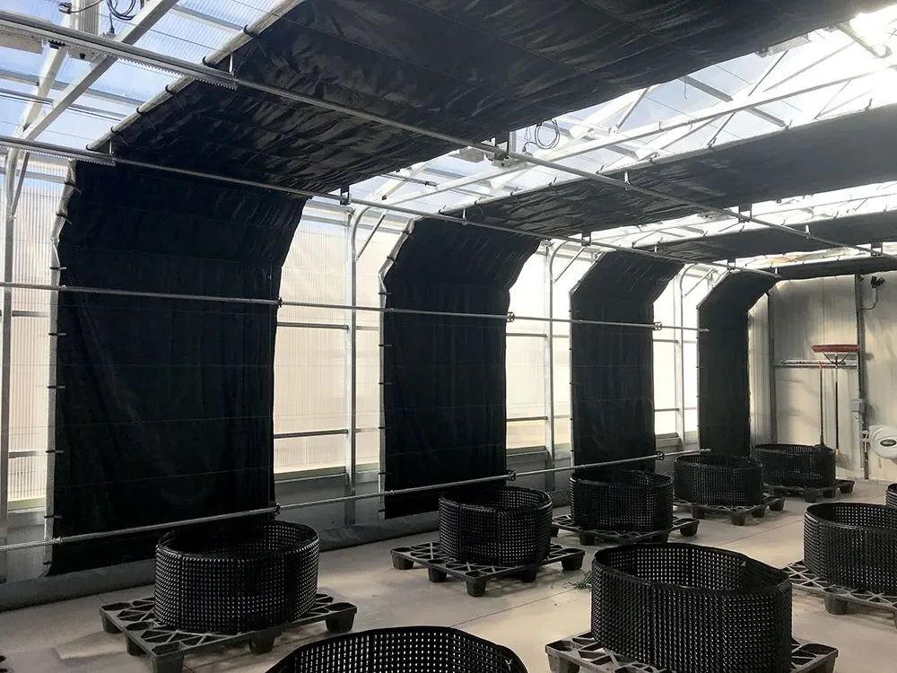 Automated Blackout Greenhouse 100 Wholesale - Oone 8
