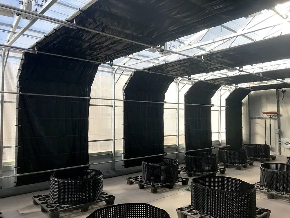 Automated Blackout Greenhouse 100 Wholesale - Oone 8