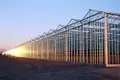 Glass Green Houses Customizable by Oone 4