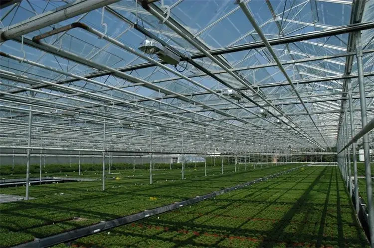 Glass Green Houses Customizable by Oone 3