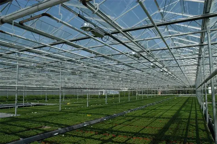 Glass Green Houses Customizable by Oone 3