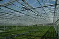 Glass Green Houses Customizable by Oone 3