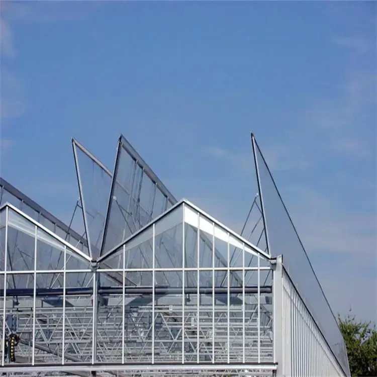 Multi Span Greenhouse Design Flat Wholesale - Oone 5