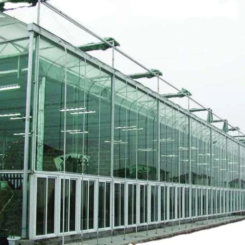 Multi Span Greenhouse Design Flat Wholesale - Oone 6