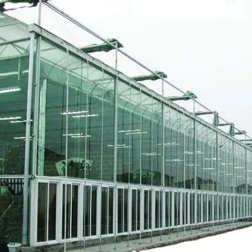 Multi Span Greenhouse Design Flat Wholesale - Oone 6