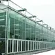 Multi Span Greenhouse Design Flat Wholesale - Oone 6