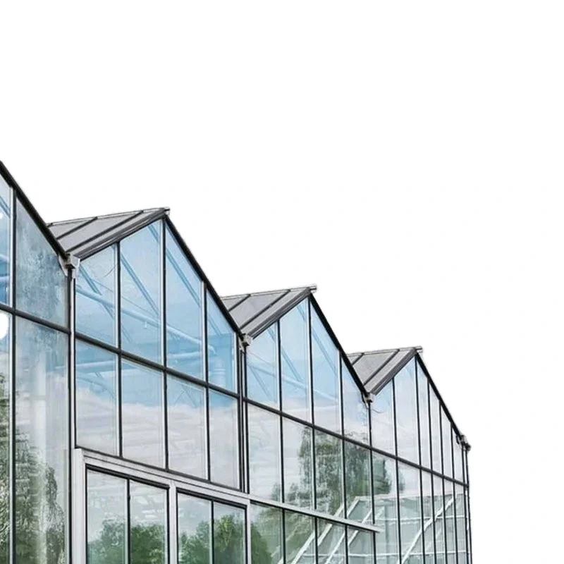 Large Glass Greenhouse for Sale Customizable - - Oone 3