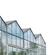 Large Glass Greenhouse for Sale Customizable - - Oone 3