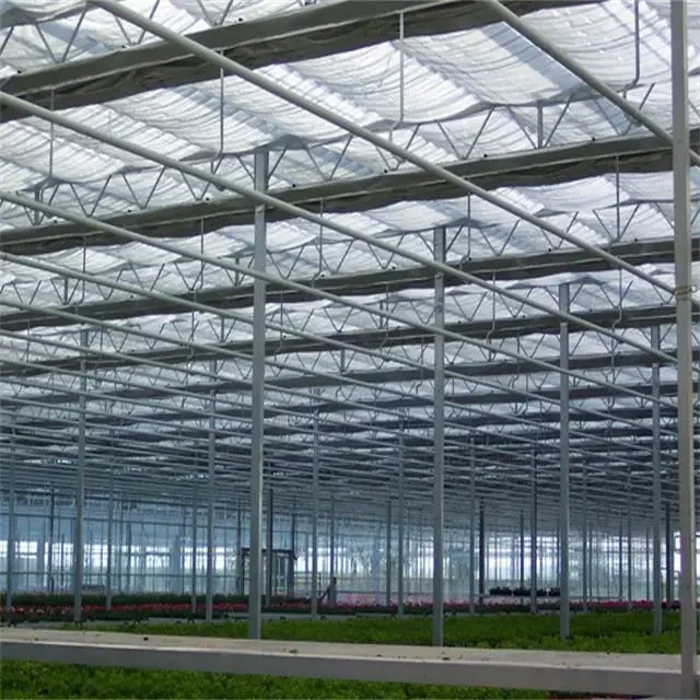 Multi Span Greenhouse Design Flat Wholesale - Oone 4