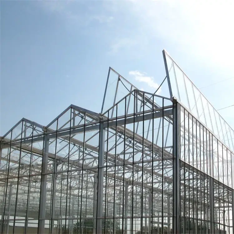 Glass Green Houses Customizable Wholesale - Oone 3