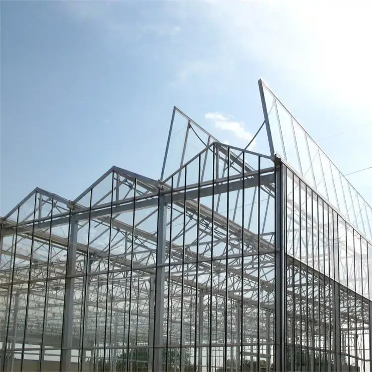 Glass Green House for Sale Customizable - - Oone 3