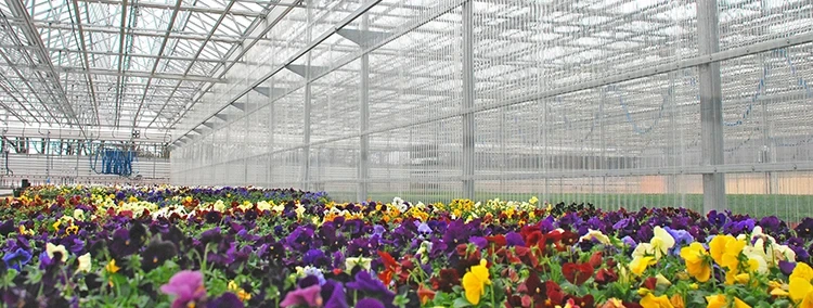 Multi Span Greenhouse Design Visa by Oone 3