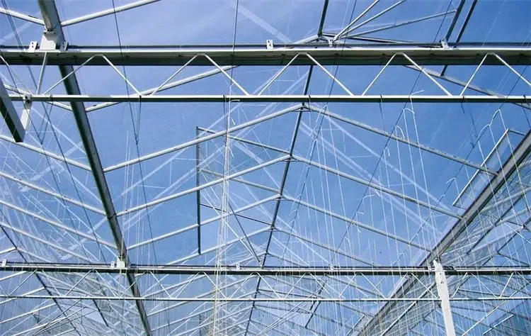 Glass Green Houses Customizable Wholesale - Oone 4