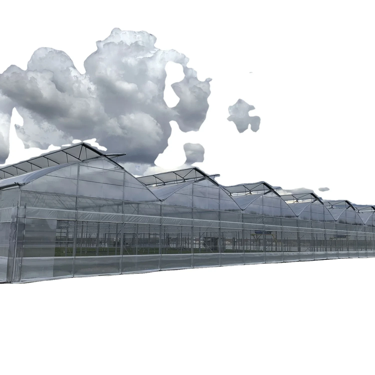 Multi Span Greenhouse Design Visa by Oone 4