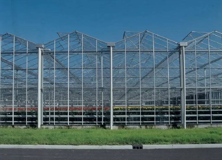 Large Glass Greenhouse for Sale Customizable - - Oone 5