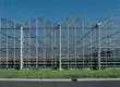 Glass Green House for Sale Customizable - - Oone 6