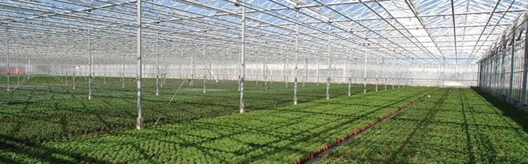 Multi Span Greenhouse Design Visa by Oone 5