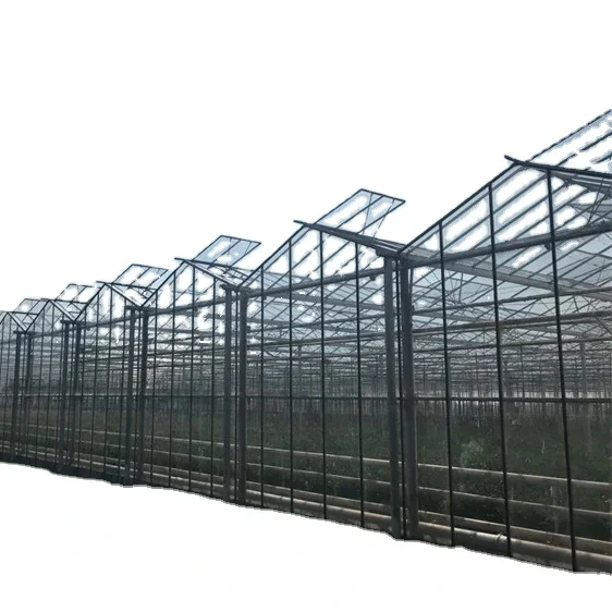 Glass Green Houses Customizable Wholesale - Oone 2