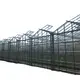 Glass Green House for Sale Customizable - - Oone 2