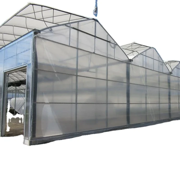 Large Glass Greenhouse for Sale Long and Staggered Wholesale - Oone 2