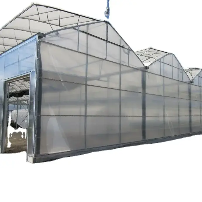 Large Glass Greenhouse for Sale Long and Staggered Wholesale - Oone 2