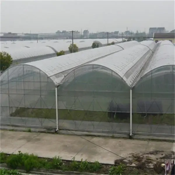 Large Glass Greenhouse for Sale Long and Staggered Wholesale - Oone 6