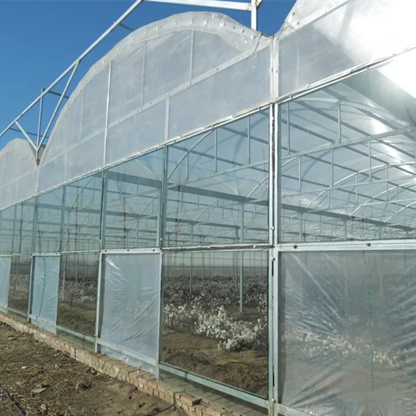 Large Glass Greenhouse for Sale Long and Staggered Wholesale - Oone 7