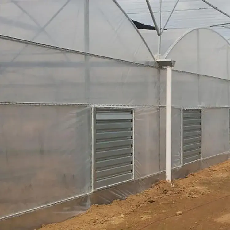 Large Glass Greenhouse for Sale Long and Staggered Wholesale - Oone 5