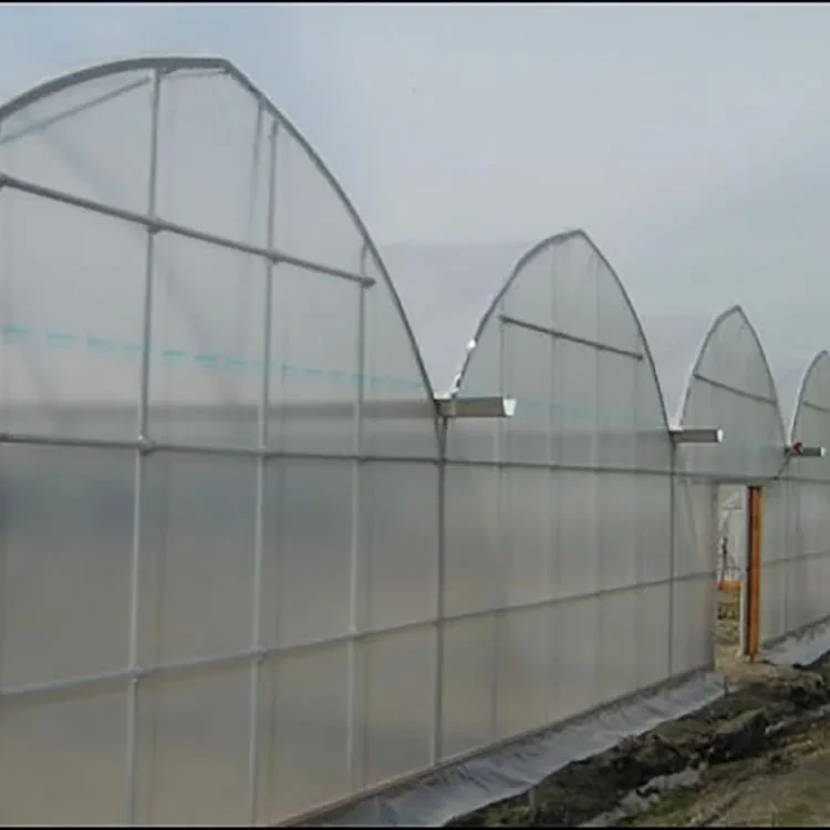 Multi Span Greenhouse Design Visa by Oone 2