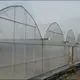 Greenhouse Supplier Visa Wholesale - Oone 2
