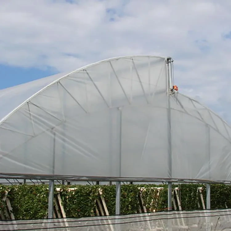 Tunnel Greenhouse Kit Steel Tube; Galvanised for Surface Wholesale - Oone 6
