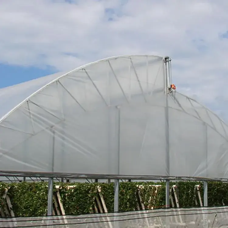 Large Tunnel Greenhouse Green PE Mesh Fabric 140g/m2 - - Oone 6