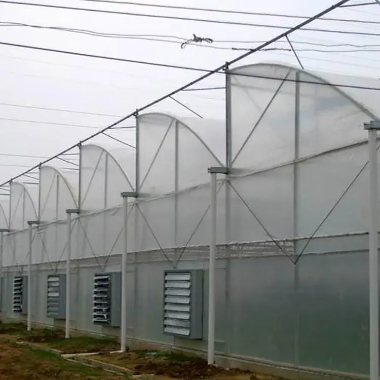 Commercial High Tunnel Greenhouse Support by Oone 7