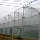 Commercial High Tunnel Greenhouse Support by Oone 7